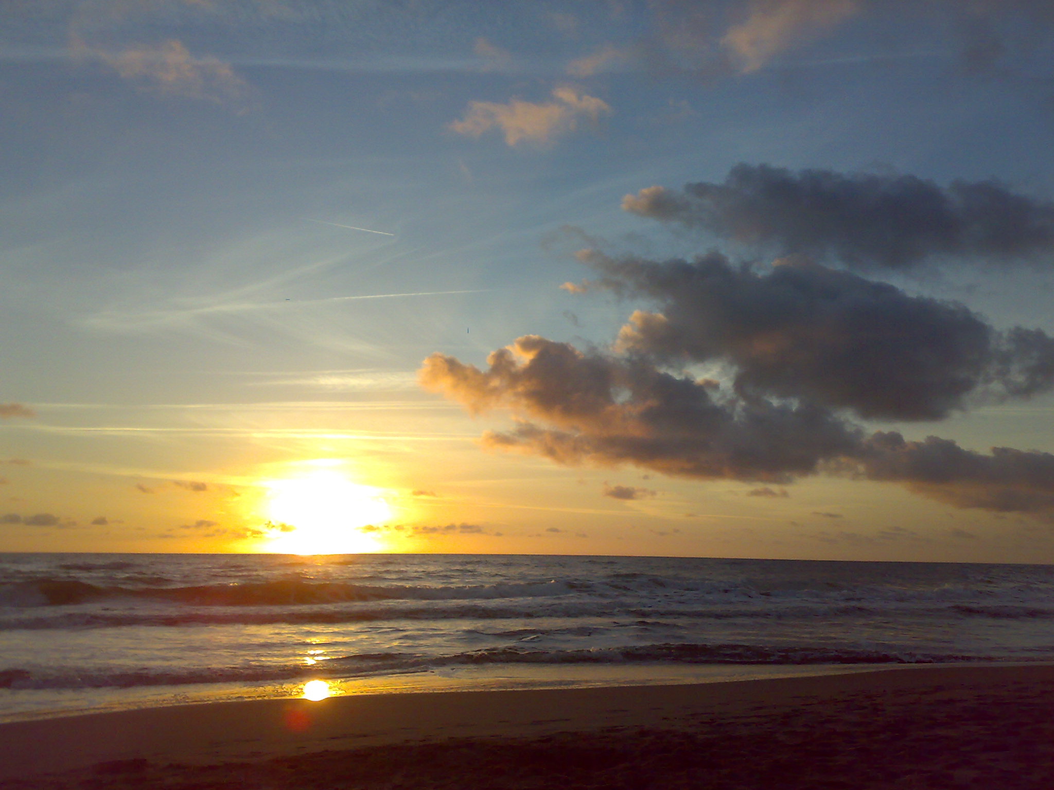 Descrizione dell'immagine